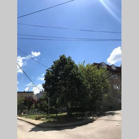 Cozy Apartment In The Old Center Of Prishtina Prishtine Bagian luar foto