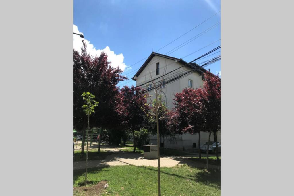 Cozy Apartment In The Old Center Of Prishtina Prishtine Bagian luar foto